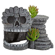 Thrive Skull Cave Reptile Decor - Reptile Hide Decor