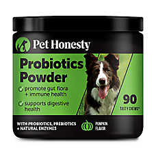 Pet Honesty Dog Probiotics GI Powder, Supports Digestive Health, Pumpkin Flavored, 90 Scoops