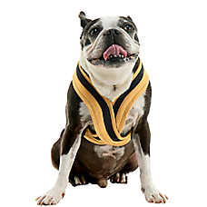 Gooby Comfort X One Dog Harness