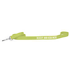 Coastal Pet Products Personalized Double Ply Nylon Dog Leash