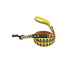 Sassy Woof Wonder Woman Dog Leash: 5-ft long