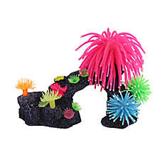 Penn-Plax Coral with Anemones Aquarium Ornament Aquarium Reef Decor