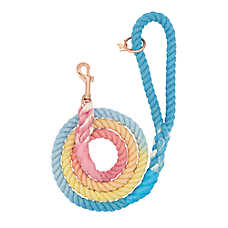 Sassy Woof Bright Dog Rope Leash: 5-ft long