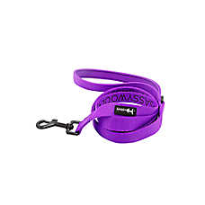 Sassy Woof Neon Purple Dog Leash: 5-ft long