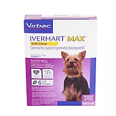 Iverhart Max Soft Chews for Dogs 6-12 lbs (Purple Box), 6 Month Supply