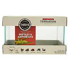 Thrive Reptile Terrarium - 5.5 Gallon