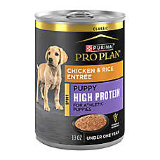 Purina Pro Plan Sport High Protein Puppy Wet Dog Food - Chicken & Rice, 13 oz