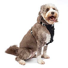 Kurgo? Enhanced Strength Tru-Fit Smart Harness for Dogs