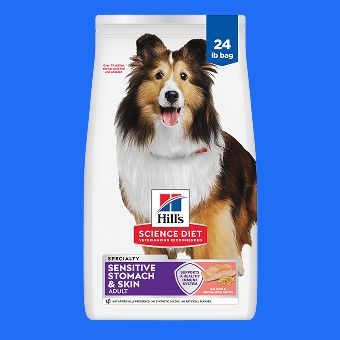 Dog food