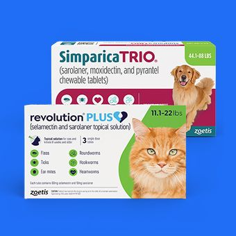 Pet prescriptions